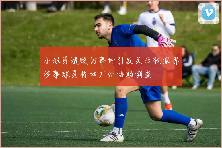 小球员遭殴打事件引发关注张家界涉事球员将回广州协助调查